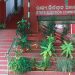 ଦି ମାସ ବିଳମ୍ବରେ ହେବ ପଞ୍ଚାୟତ ନିର୍ବାଚନ!