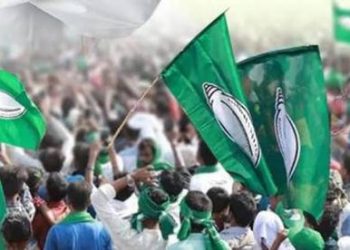 ଫମ୍ପା ମାଠିଆର ଶବ୍ଦ ବେଶୀ